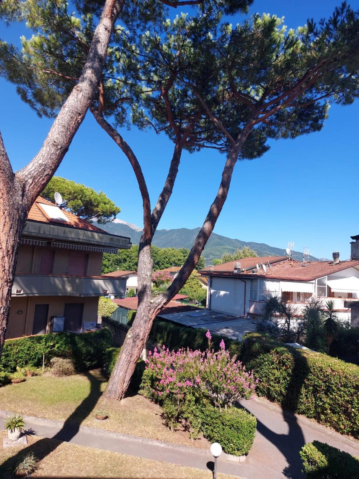 Appartamento Al Mare Di Liguria E Toscana مارينا دي ماسا المظهر الخارجي الصورة